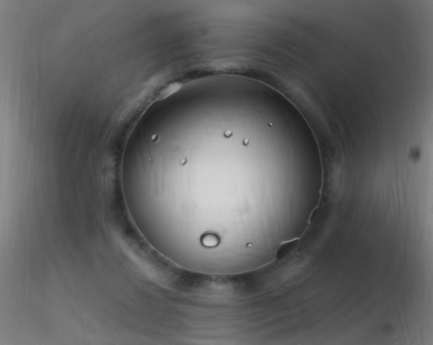 X0000116790260200912181301