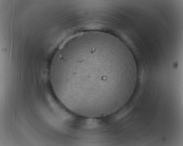 X0000116790261200912181301