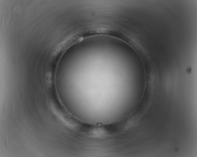 X0000116790262200912181301