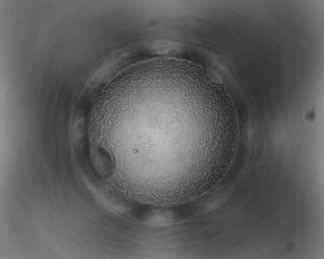 X0000116790263200912181301