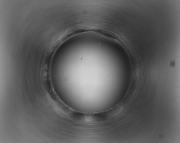 X0000116790264200912181301