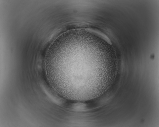 X0000116790266200912181301