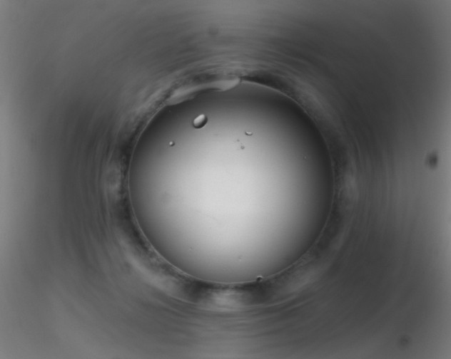 X0000116790268200912181301