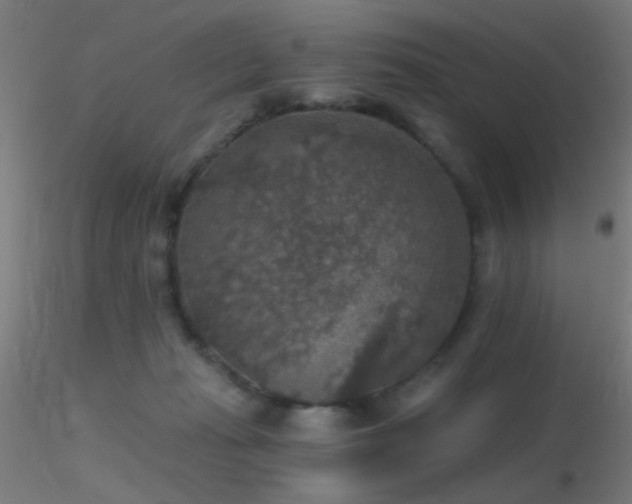 X0000116790269200912181301