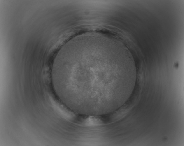 X0000116790270200912181301