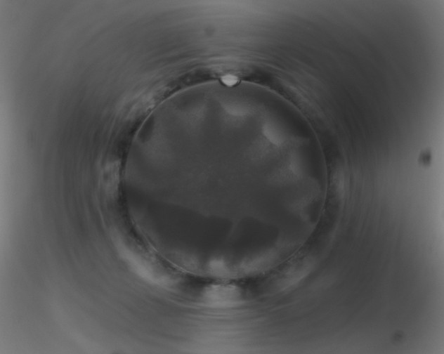 X0000116790271200912181301