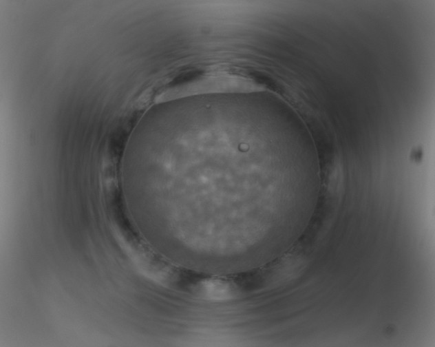 X0000116790272200912181301