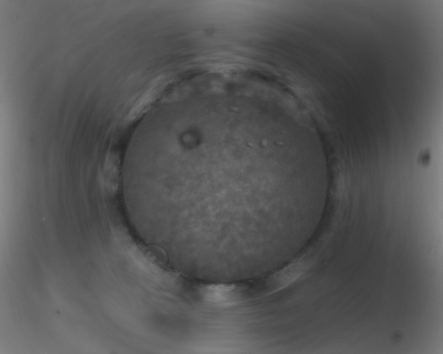 X0000116790273200912181301