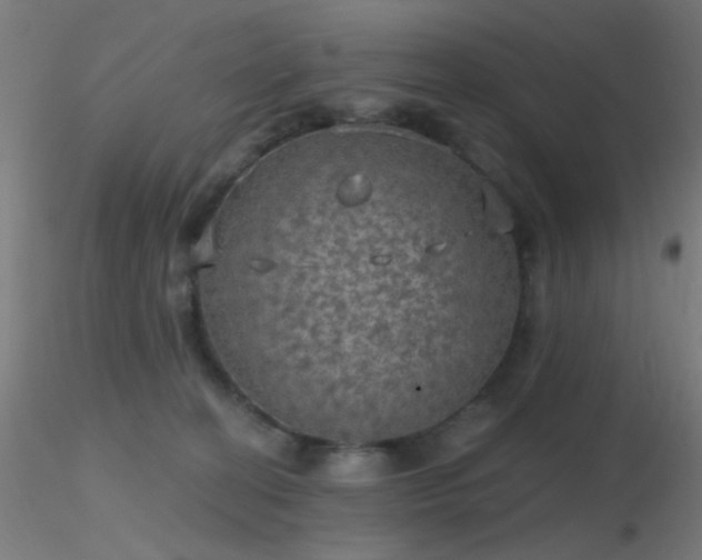 X0000116790274200912181301