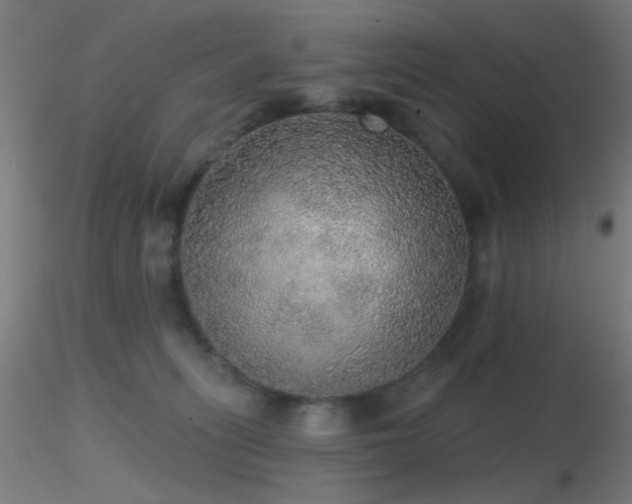 X0000116790275200912181301