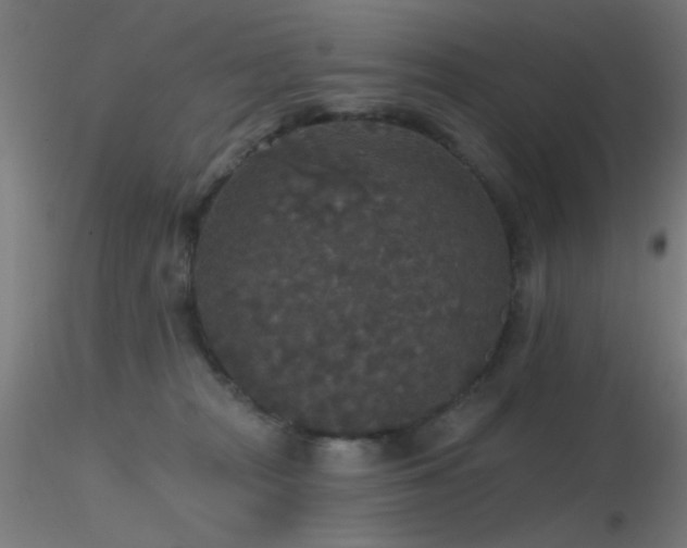 X0000116790277200912181301