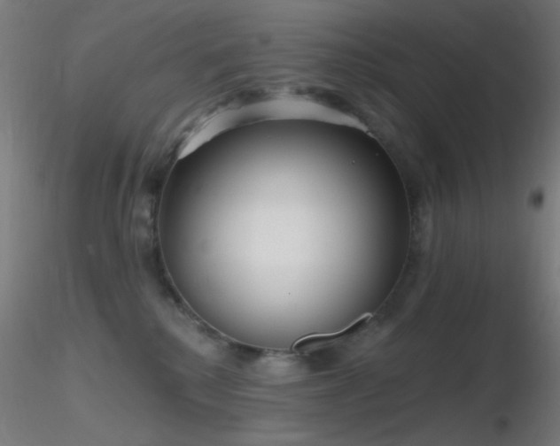 X0000116790280200912181301