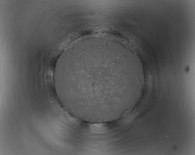 X0000116790281200912181301