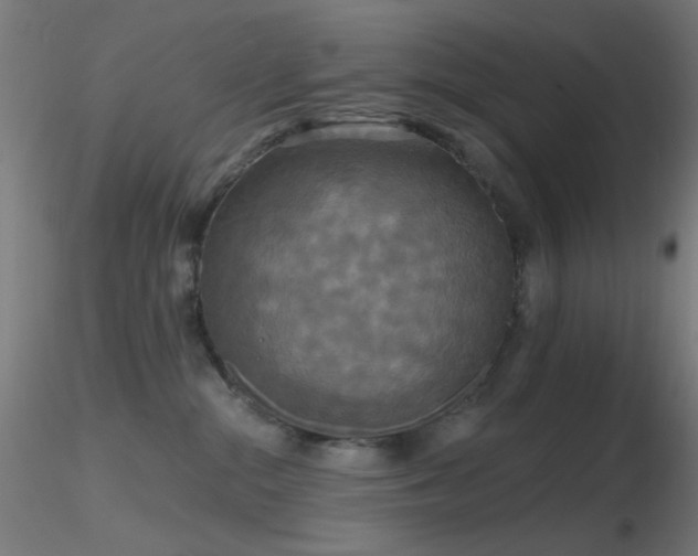 X0000116790284200912181301