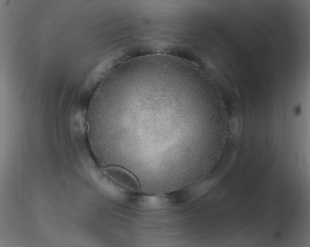 X0000116790286200912181301