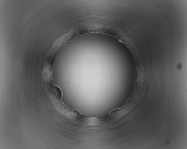 X0000116790287200912181301