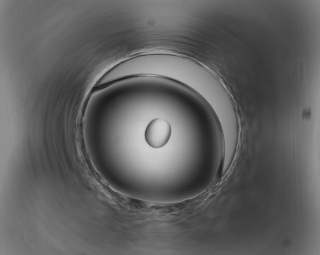 X0000116790289200912181300