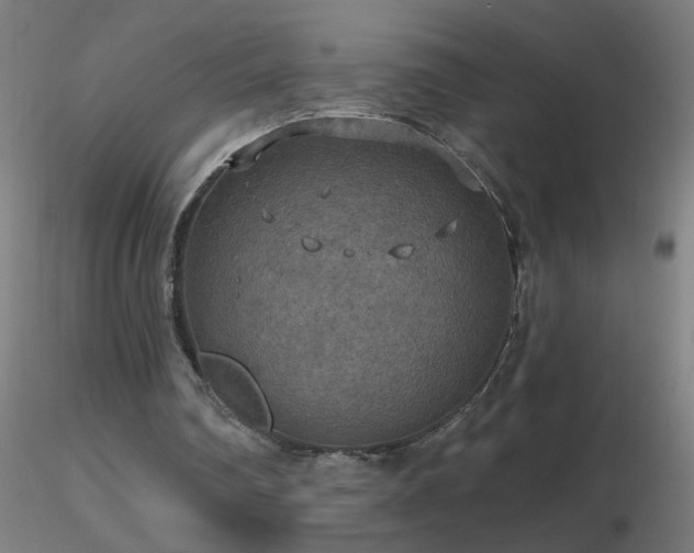 X0000116790290200912181300