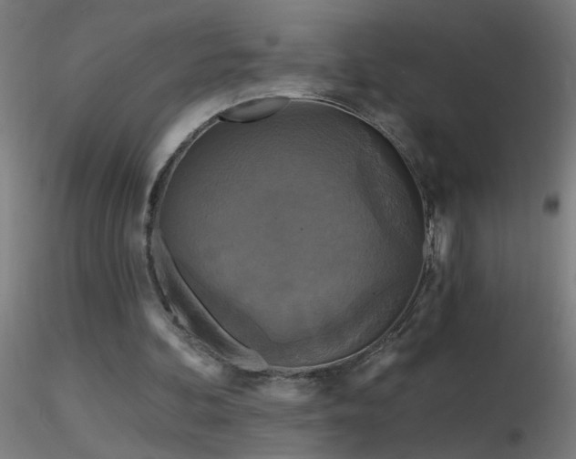 X0000116790292200912181300