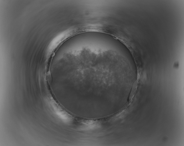 X0000116790293200912181300
