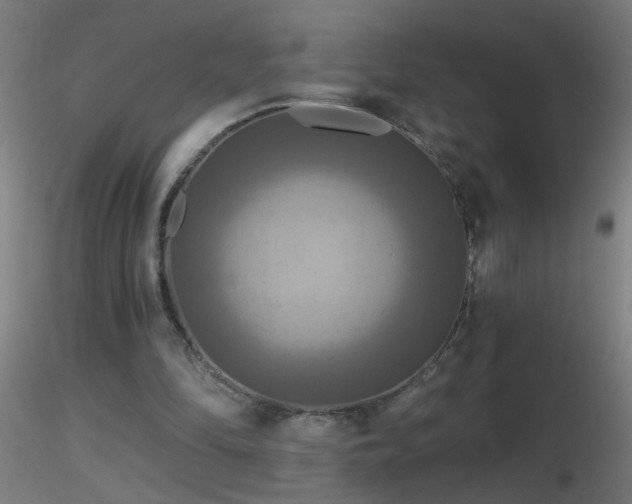 X0000116790294200912181300