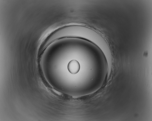 X0000116790296200912181300