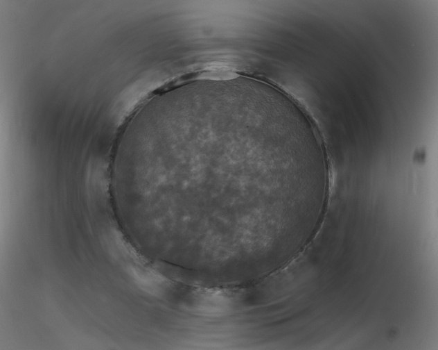 X0000116790297200912181300