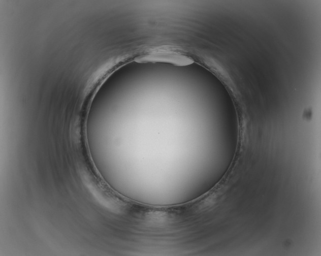 X0000116790298200912181300