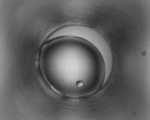 X0000116790301200912181300