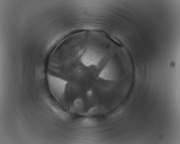X0000116790303200912181300