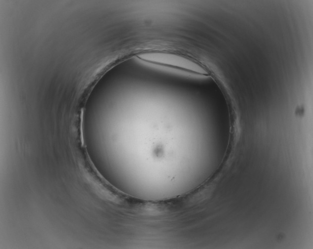 X0000116790305200912181300