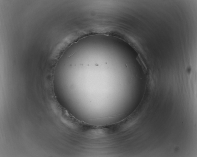 X0000116790307200912181300