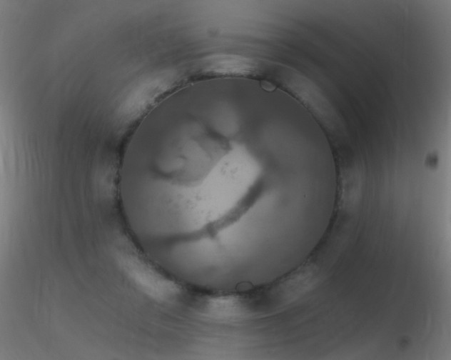 X0000116790309200912181300