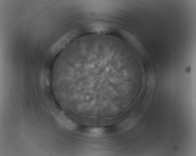 X0000116790313200912181300