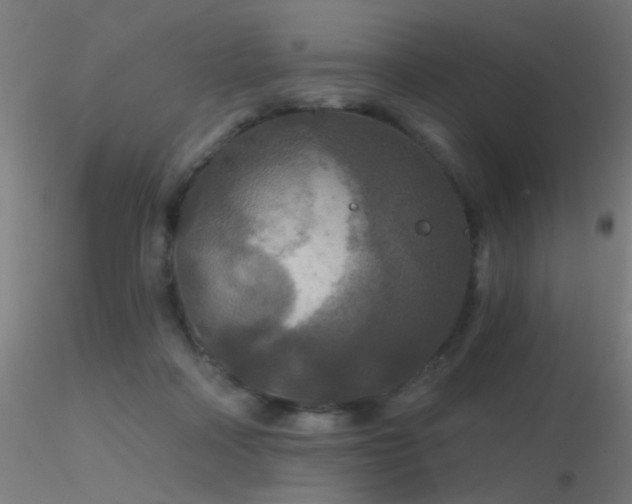 X0000116790314200912181300