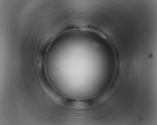 X0000116790315200912181300