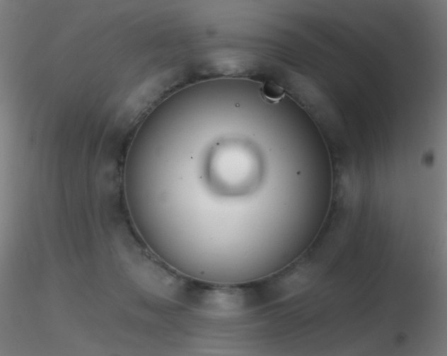 X0000116790317200912181300
