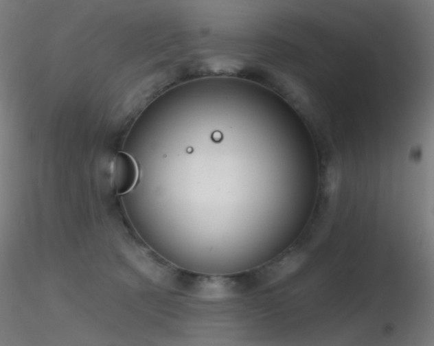 X0000116790321200912181300