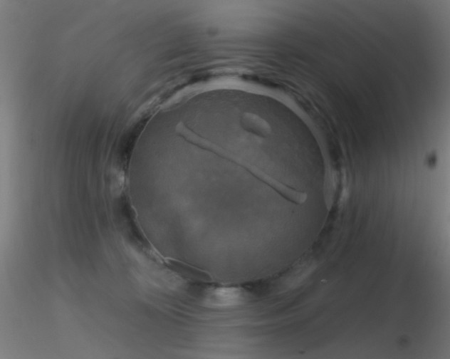 X0000116790324200912181300