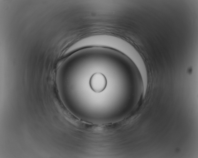 X0000116790325200912181300