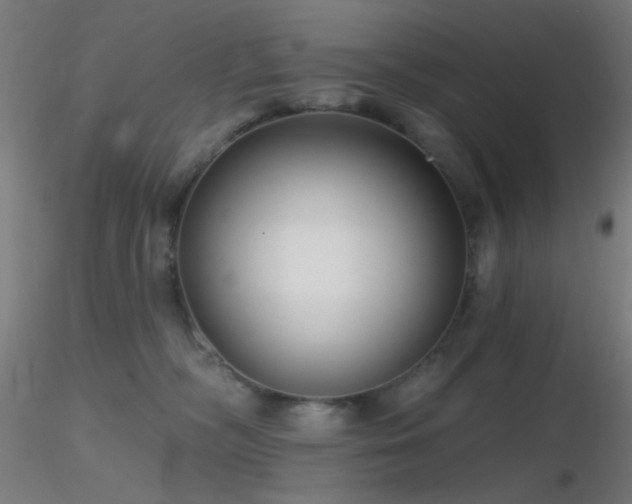 X0000116790326200912181300