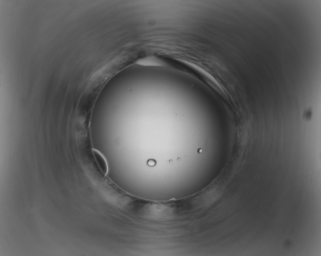 X0000116790327200912181300