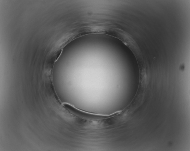 X0000116790329200912181300