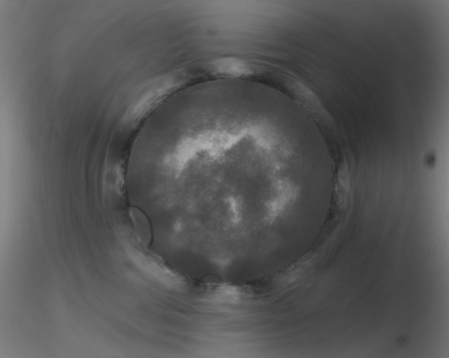 X0000116790330200912181300