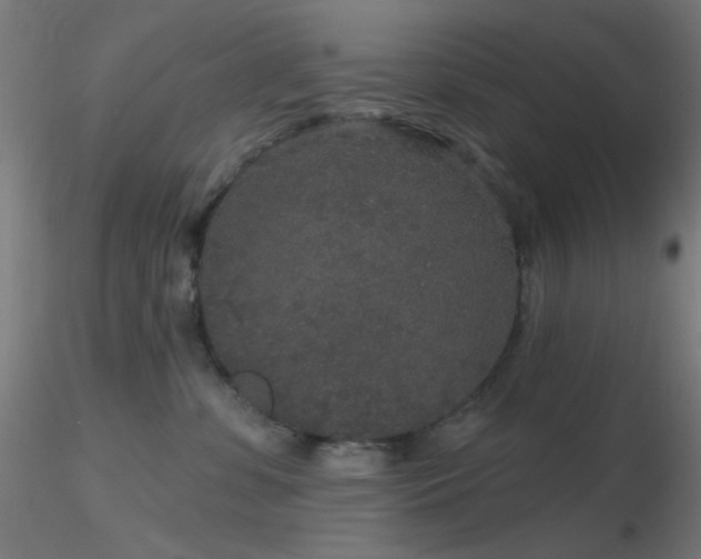 X0000116790331200912181300