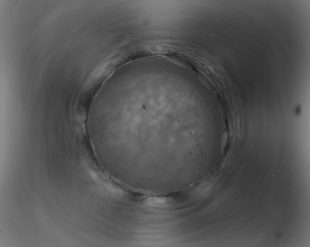 X0000116790332200912181300
