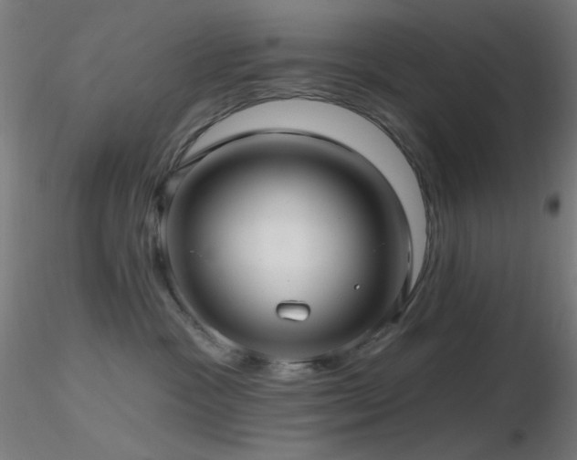 X0000116790333200912181300