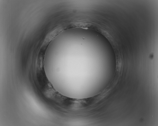 X0000116790334200912181300