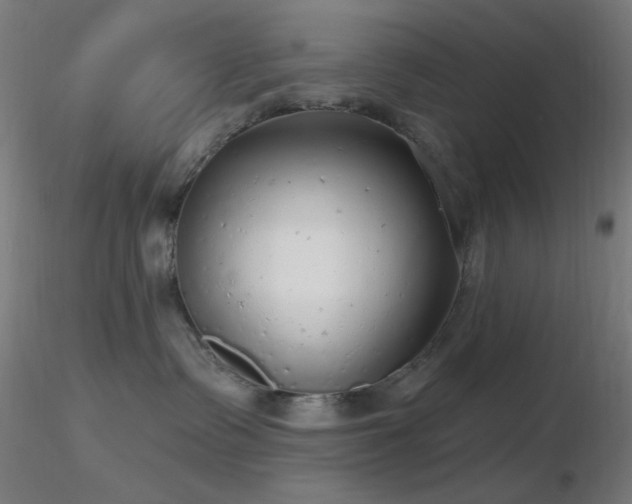X0000116790335200912181300