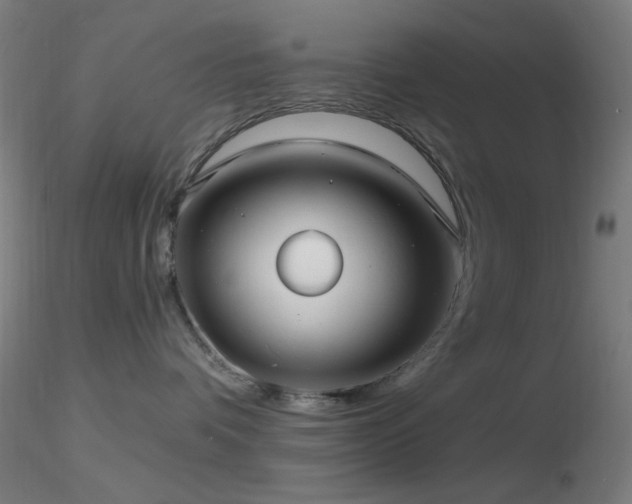 X0000116790336200912181300